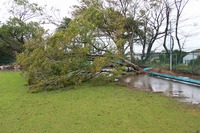 ９月２１日　台風のあと.jpg